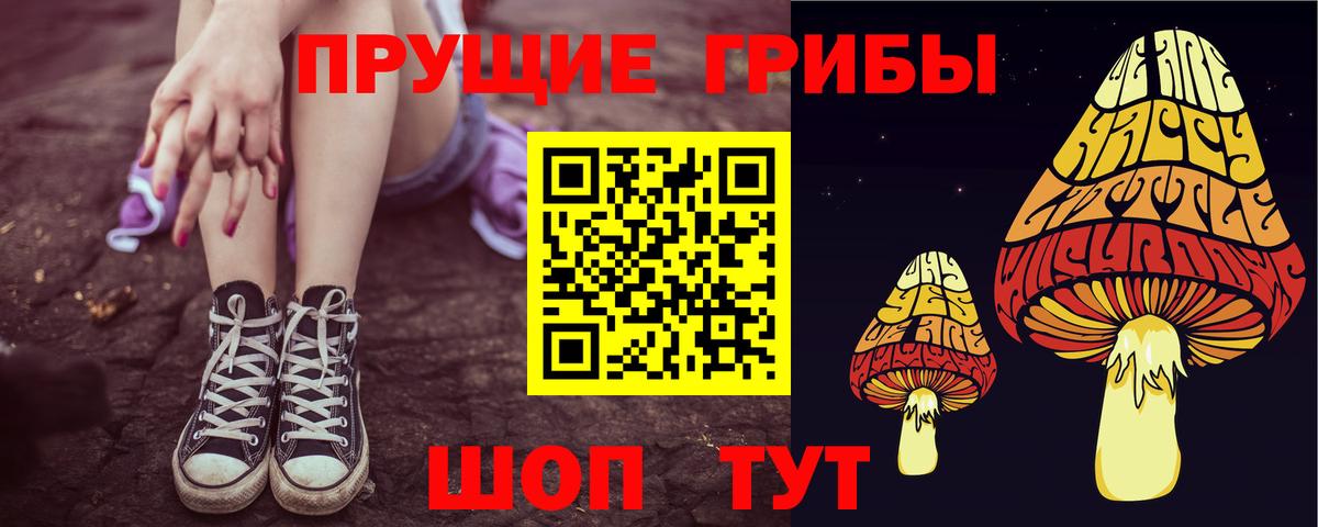 Галлюциногенные грибы Cubensis  Вход с VPN  Балашов 
