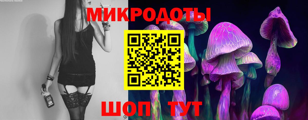 Галлюциногенные грибы Cubensis Балашов